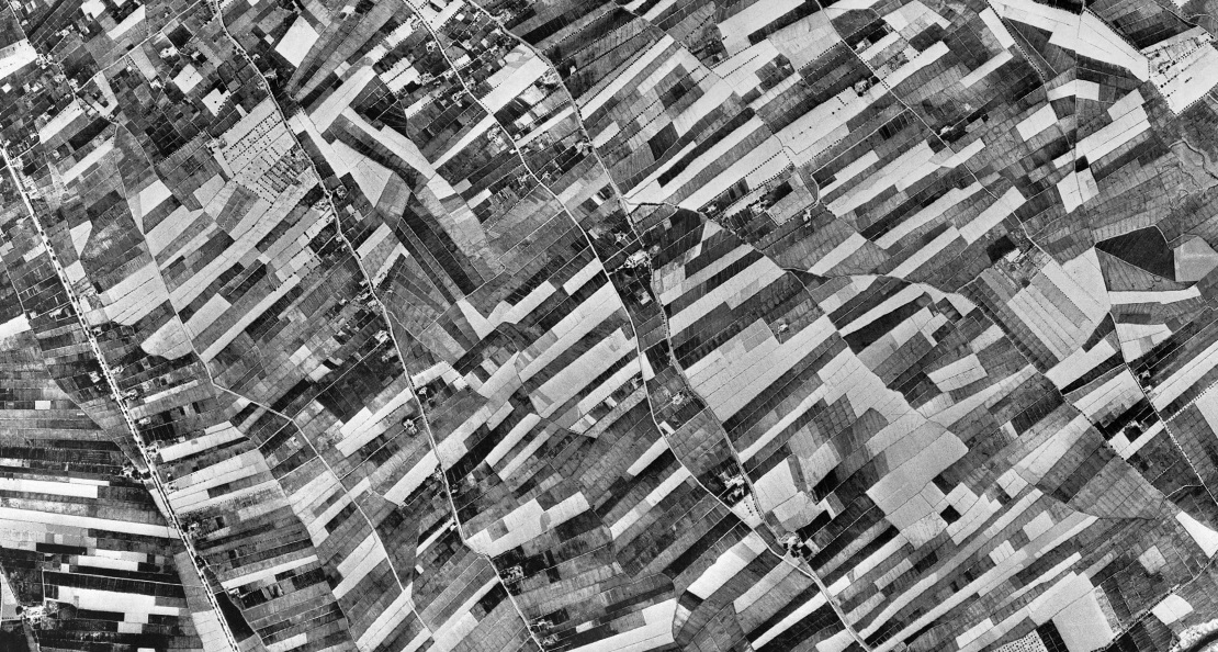 Muestra patrones geométricos (antrópicos) para actividad de discriminación visual. 