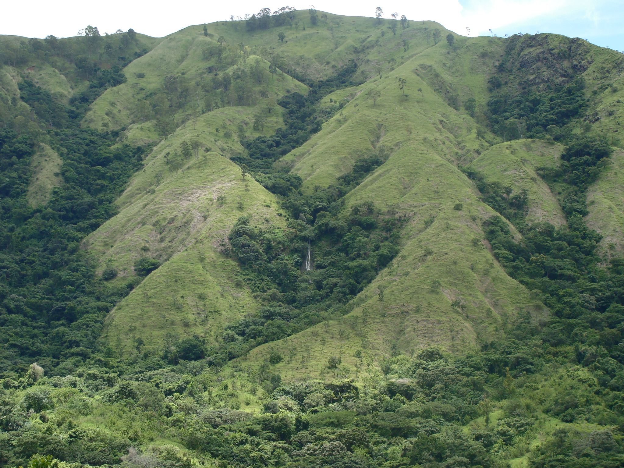 Ejemplo de un torrente en una sierra de Venezuela